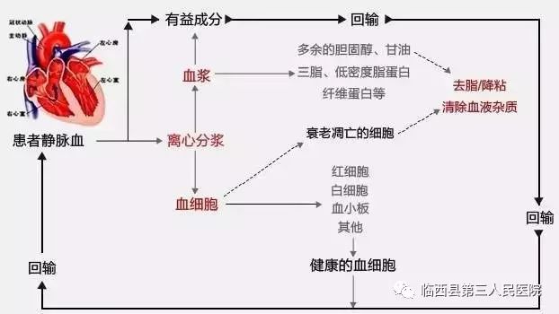 最新临床输血指征及其应用