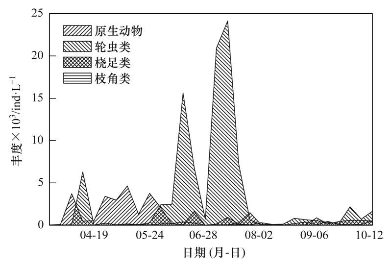 乐清开发区最新招聘动态及其影响